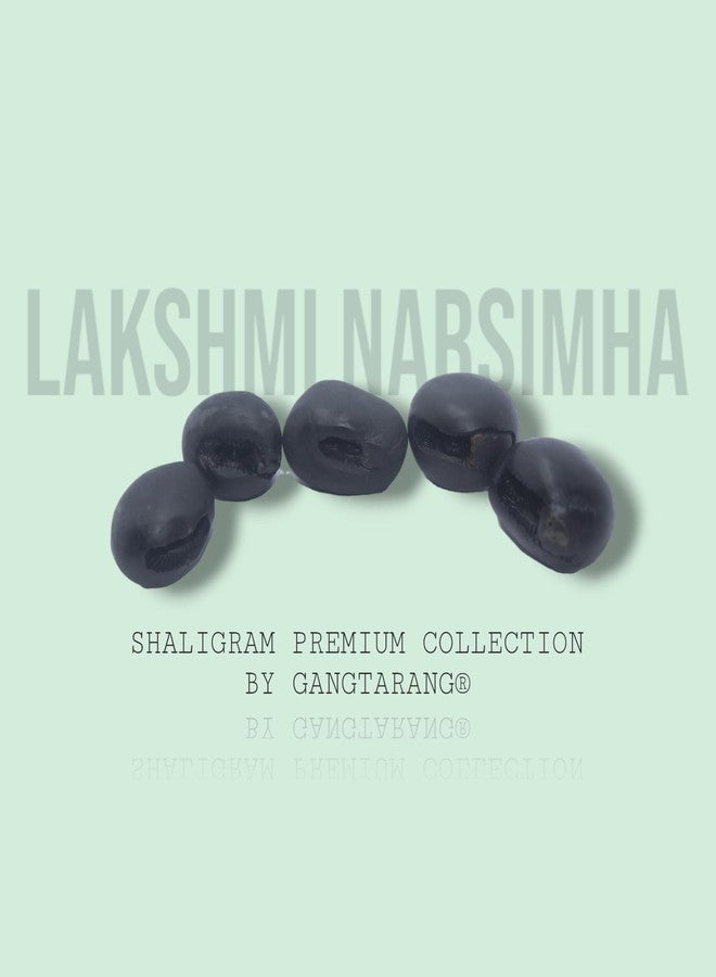 GANGTARANG Shaligram Stone Lakshmi-Narsimha نيبال Gandaki River Chakra Saligram لبوجا، أسود (4-6 سم) - SHALIGRAM-LNS-01 - Image 4